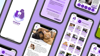 Application - adoptable to animals app design graphic design ui ux