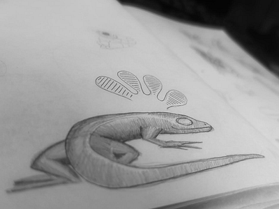 Lizard sketch animal concept drawing gecko idea illustration lizard logo nature sketch tail