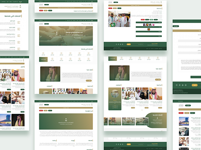 Mamlka Foundation ui ui design ux design website