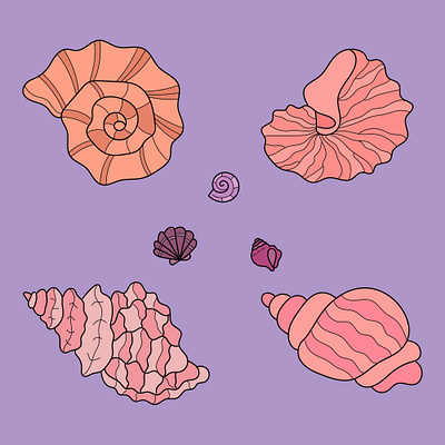 A set of delicate pink seashells app branding design graphic design illustration logo typography ui ux vector