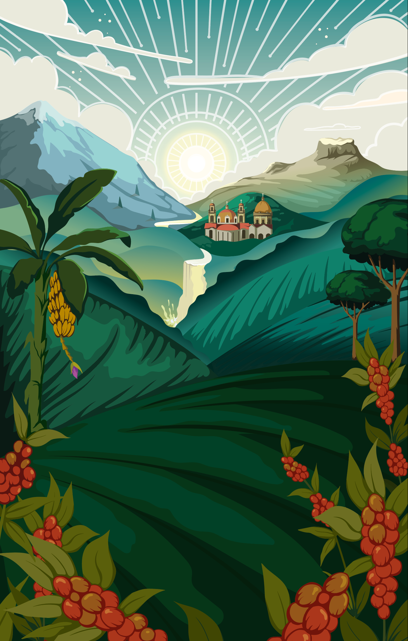 Coffee fields background banana tree branding coffee coffee landscape fields illustration landscape mountains nature packaging design vector