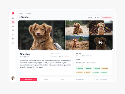 PawPlace - Pet Profile Dashboard UI UX Design dashboard dashboard design dog app dog dashboard pet pet adoption pet adoption app pet app pet app design pet dashboard pet dashboard ui pet design pet profile pet store pet store app pet ui pet web app pet website veterinary care veterinary dashboard design