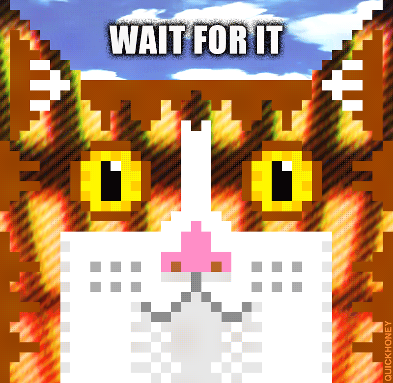 WAIT FOR IT 8bit animation cats design gif illustration pixel pixel art sticker