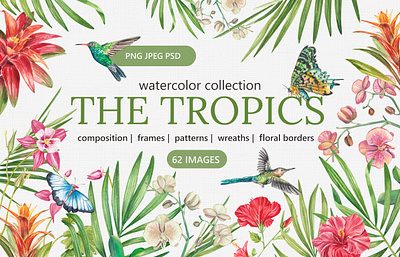 Watercolor illustrations of tropical flowers artwork botanical branding design flowers illustration nature painting sketch summer tropical watercolor