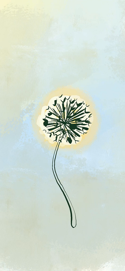 Dandelion Mixed Media 2D Animation 2d animation background beauty cartoon cute digital digital art drawing dribbble flower flowers hand drawn illustration kids loop motion graphics nature simple vector