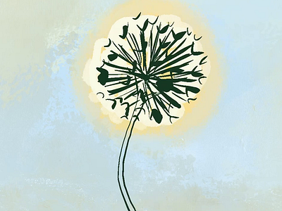 Dandelion Mixed Media 2D Animation 2d animation background beauty cartoon cute digital digital art drawing dribbble flower flowers hand drawn illustration kids loop motion graphics nature simple vector