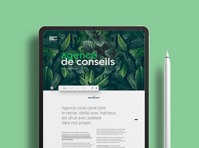 Peppermint agency agence digitale à Nantes branding graphic design ui