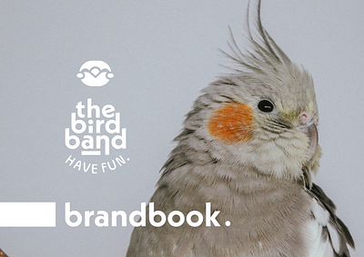 The Bird Band Brandbook birds brand design brand identity brandbook brandbook design branding cockatiel cockatiel design graphic design illustration manifest parrot personal branding social media brand social media design the bird band uxui design verbal identity viral visual identity