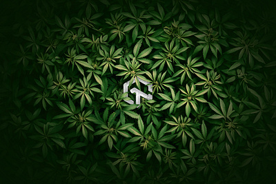 Lambdatest Wallpaper 4K cannabis cross browser testing dev tools enterprise execution environment hyperexecute kaneai lambdatest lambdatest automation lambdatest logo lambdatest logo svg marijuana midjourney playwright testing real devie testing saas selenium grid selenium testing test intelligence test manager visual regression