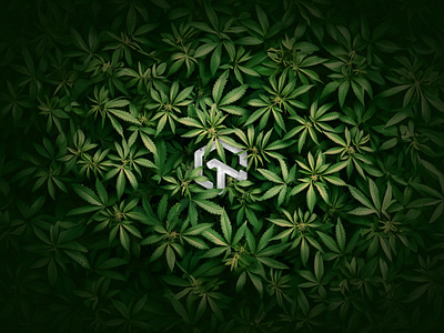 Lambdatest Wallpaper 4K cannabis cross browser testing dev tools enterprise execution environment hyperexecute kaneai lambdatest lambdatest automation lambdatest logo lambdatest logo svg marijuana midjourney playwright testing real devie testing saas selenium grid selenium testing test intelligence test manager visual regression