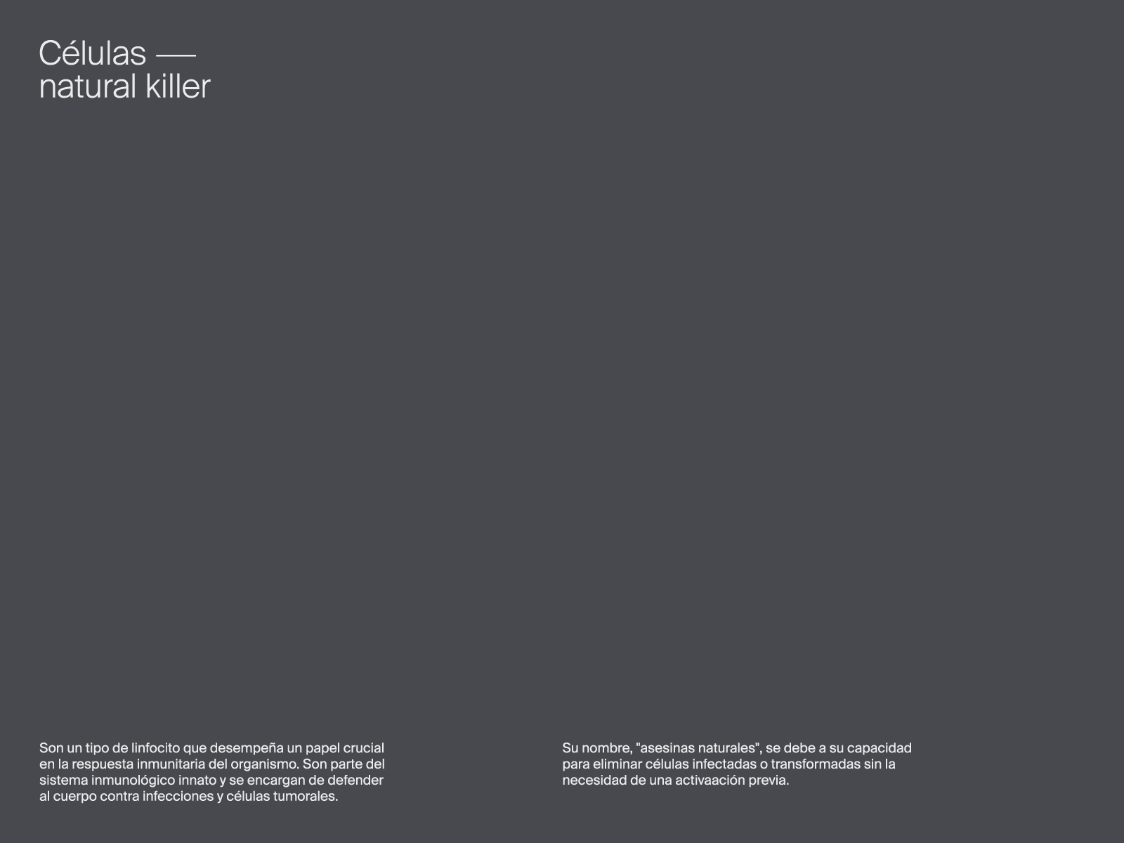 Natural killer cell animation cell motion