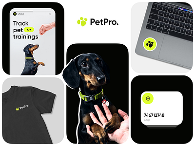 PetPro - Pet tracking app branding brand branding care dog identity iot logo mobile mobile app pet pet app saas smart tracker uiux vet visual identity