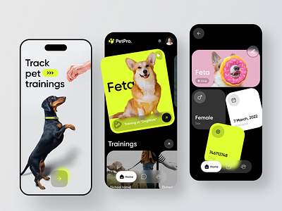 PetPro - Pet management and assistance mobile app brand identity branding care dog iot logo mobile app mobile design pet pet app pet care saas smart tracker uiux vet visual identity