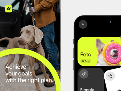 PetPro - Pet care tracking mobile app ad branding dog marketing mobile app pet pet app pet care saas smart trracking uiux visual identity