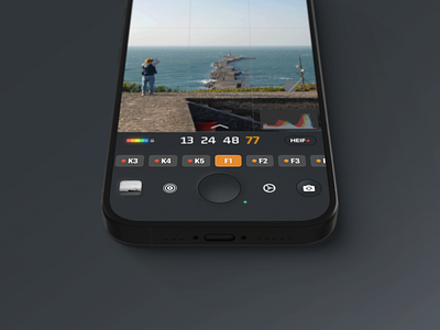 UI Design of No Fusion Camera App app branding button camera camera app design histogram ios iphone photo app pro camera retro switch ui ux