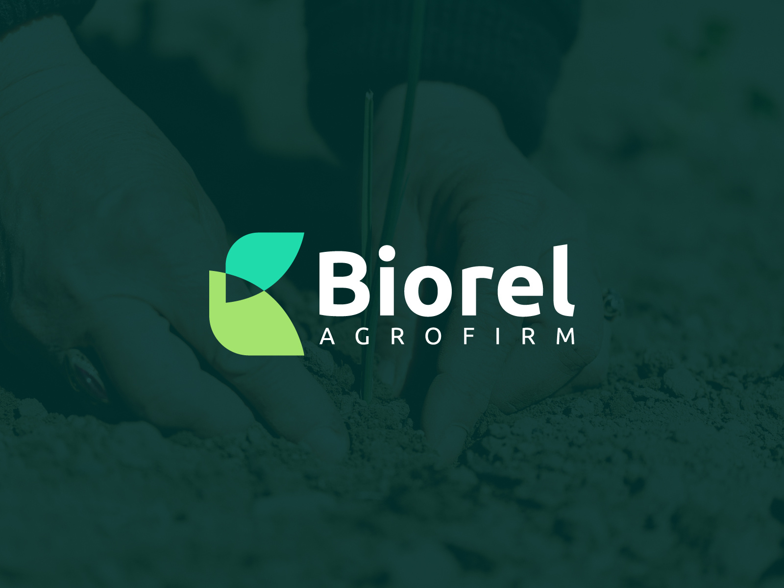 Agro+ Logo & Brand Identity Design | Agriculture Logo agriculture logo agriculture logo design agro logo brand identity branding farm logo farming logo logo logo design logos modern logo unique logo