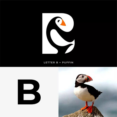 Letter B : Puffin Logo Design b logo b puffin design graphic design logo logo design puffin puffin logo