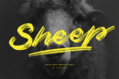 Sheep | Dry Brush Script Font black brush classic font movie poster script yellow youtube