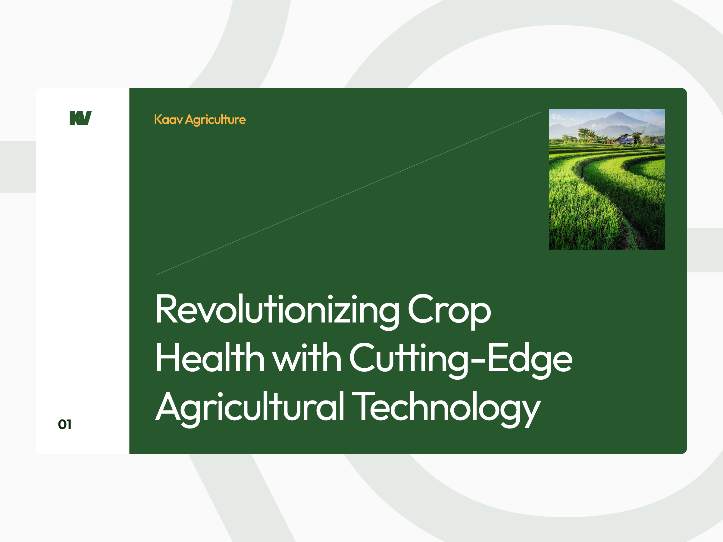 Kaav Agriculture Minimalist Pitchdeck Design agriculture pitch agriculture ppt agriculture presentation branding design layout minimal pitch pitchdeck ppt design pptx presentation design typography