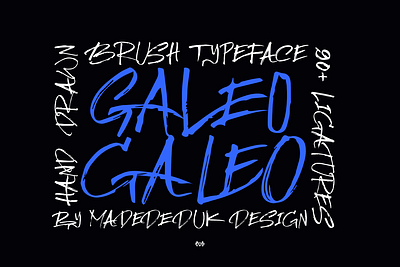 Galeo Brush Font book cover font brandidentity branding font brush font display font grunge font halloween font headline font horror font logotype magazine font movie font nostalgic font rough font scratch font textured font web font