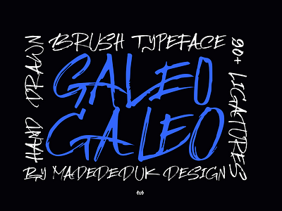 Galeo Brush Font book cover font brandidentity branding font brush font display font grunge font halloween font headline font horror font logotype magazine font movie font nostalgic font rough font scratch font textured font web font