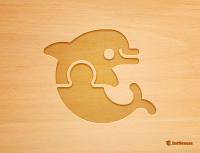 Bottlenose mark bottlenose branding design dolphin education flaschcards icon illustration logo mark puzzle puzzles toys wordmark