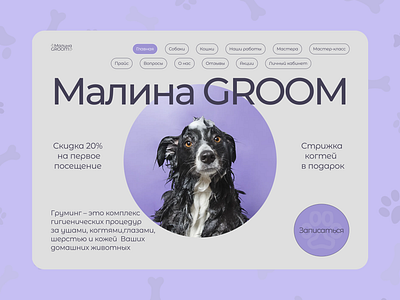 Сайт для груминг салона branding design disi graphic design ui ux