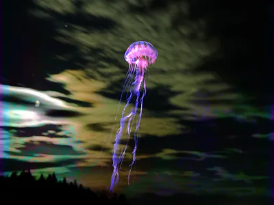 jellyfish aura album art design digital collage photography