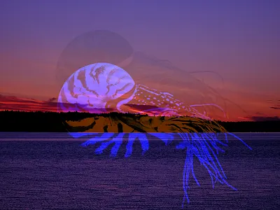 nautilus aura album art branding digital collage graphic design