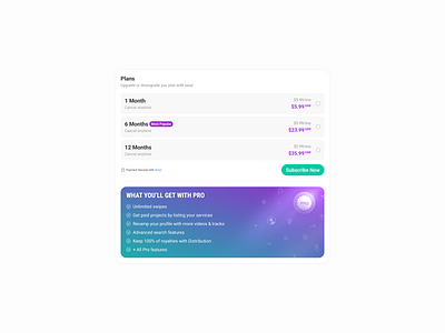 Payment Plans payment plans subscription subscription plans ui ui design uiux design