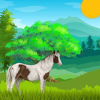 Horse design graphic design illustration