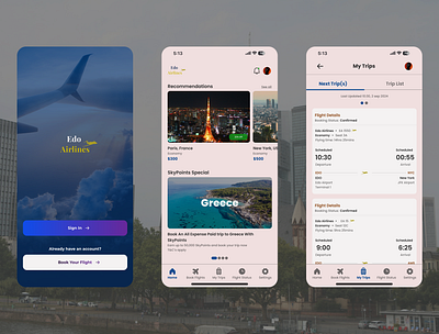 Edo airlines ✈️ airline application booking design edo homepage paris ui uiux