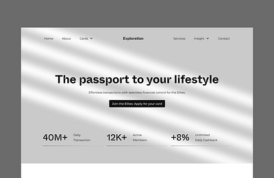 Exclusive Credit Card Landing Page design fintech landing page ui ui uiux ux website