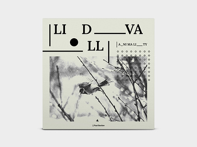 Lidvall - Animality artwork for music graphic design