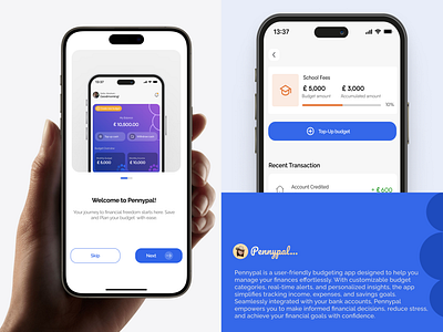 Pennypal app budget app fintech app mobileapp development onboarding screen ui userexpirience design userinterface design web development