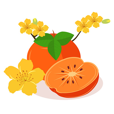 Vector Design Idea of Apricot