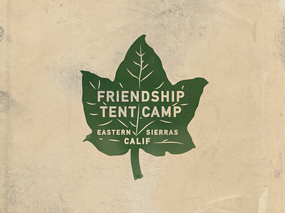 Camping Logo branding camp camp branding camp logo camping camping logo leaf logo los angeles mountain nature nature branding outdoors outdoors branding retro vintage vintage design wes anderson