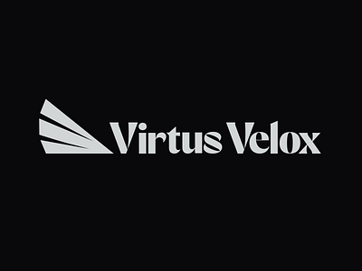 Virtus Velox Logo Design graphic design logo vector