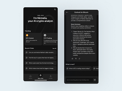 Nirmata: AI Powered Crypto Analyst app design chatbot crypto ui design