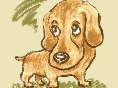 Dachshund Portrait ainmal character dachshund dog illustration pet puppy