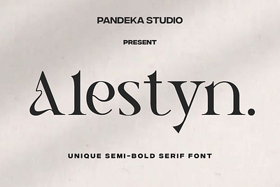 Alestyn - Aesthetic Modern Serif holiday.