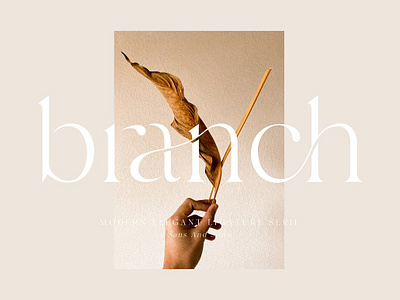 Branch - Modern Ligature Serif beautiful font boutique chic classic font classy font elegant font fashion font female feminime font french invitation ligature font ligatures logo font luxury font magazine font minimal font modern font wedding font wedding invitation