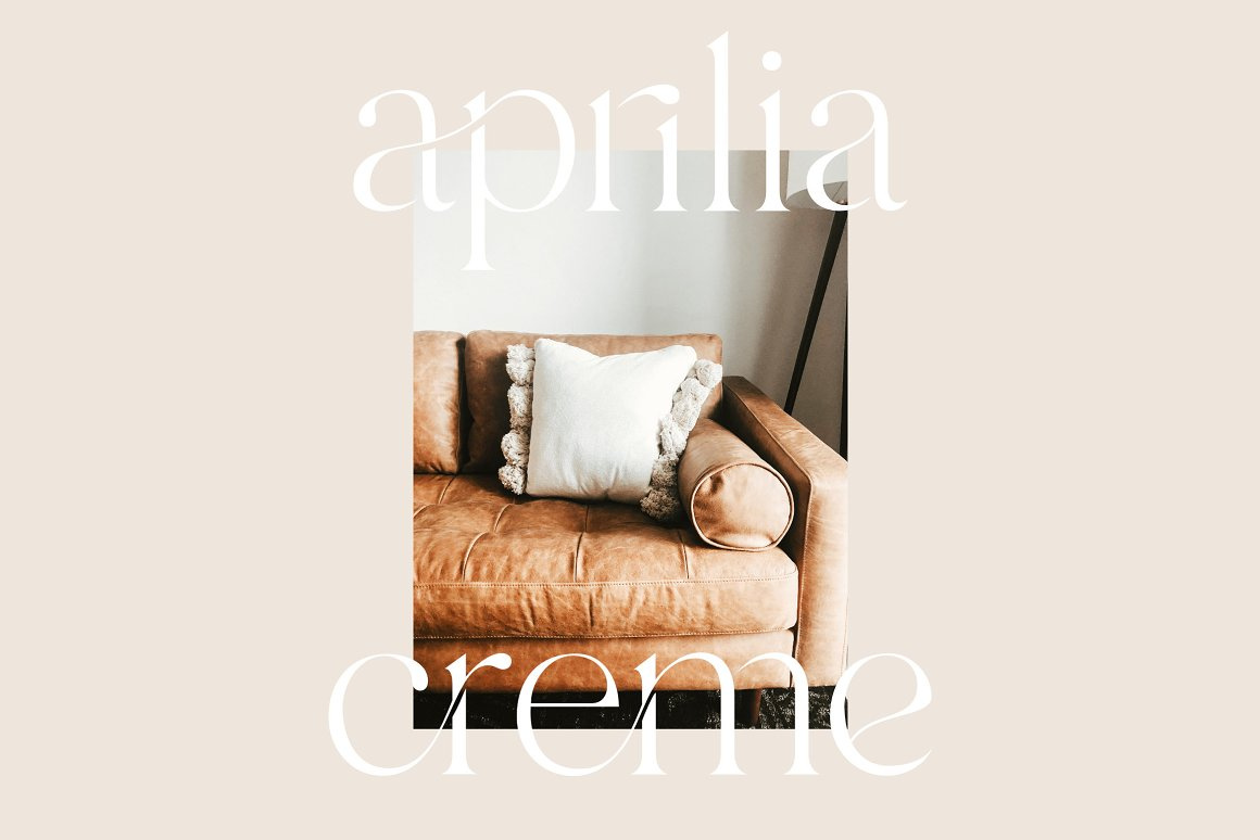 Branch Modern Ligature Serif by Serif Fonts on Dribbble