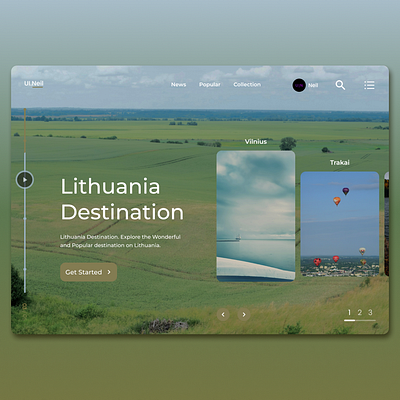 Lithuania Web Design app appdesign branding design designer illustration landing page logo ui uidesign uiux ux uxdesign web web design website website design