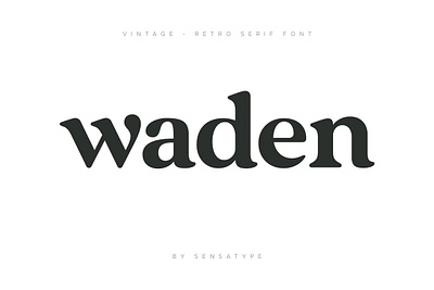 Vintage Retro Serif Font bold font free retro fonts old font retro font retro sans serif font retro serif font canva retro serif fonts adobe serif font serif font free shadow font vintage font vintage retro serif font