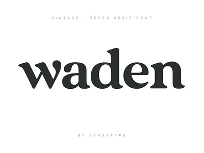 Vintage Retro Serif Font bold font free retro fonts old font retro font retro sans serif font retro serif font canva retro serif fonts adobe serif font serif font free shadow font vintage font vintage retro serif font