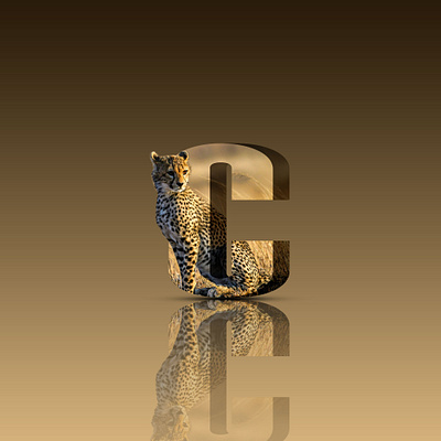 3D Text manipulation 3d graphic design