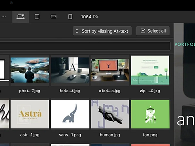 Webflow - Sort by Missing Alt Text app design product design product designer ui uxdesign webflow