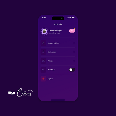 Settings Page ui