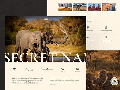 Wildlife Nature Reserve - Website africa animals design figma nature ui uiux ux web design website wildlife